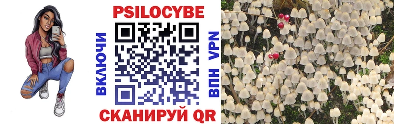 Псилоцибиновые грибы Magic Shrooms  kraken tor  Скопин 