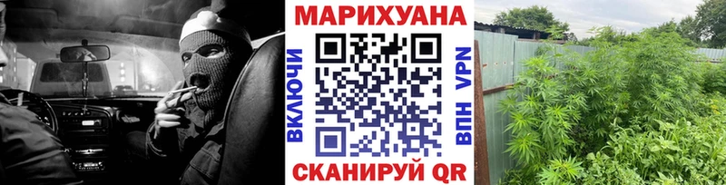 Марихуана OG Kush Скопин
